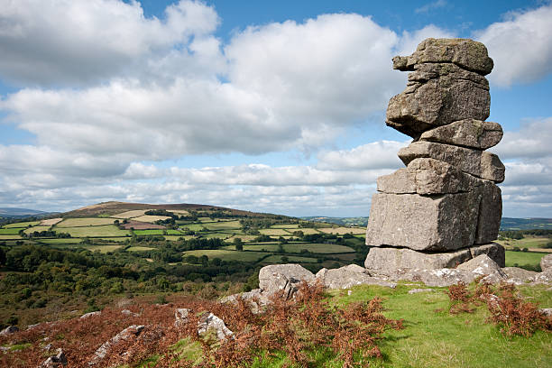 The iconic Bowermans nose