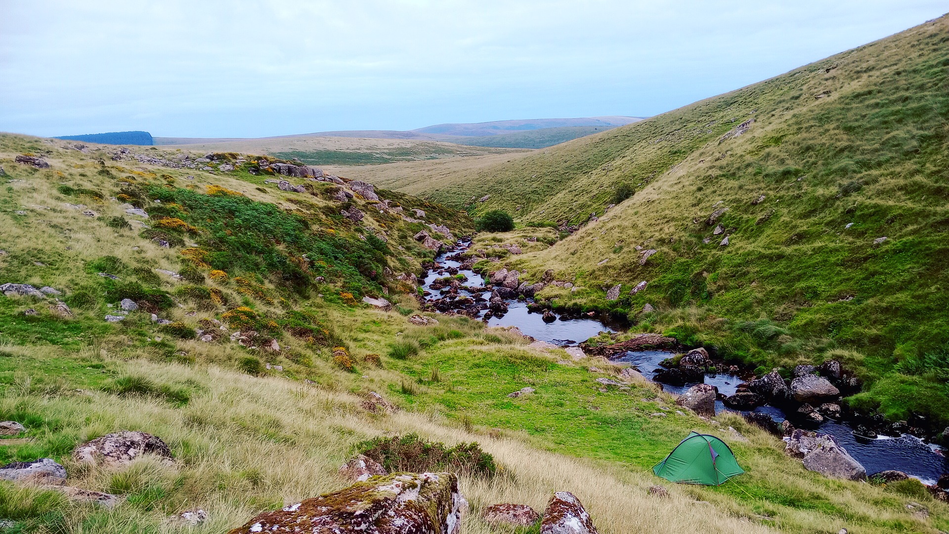 Solo camping in tranquil wild spaces