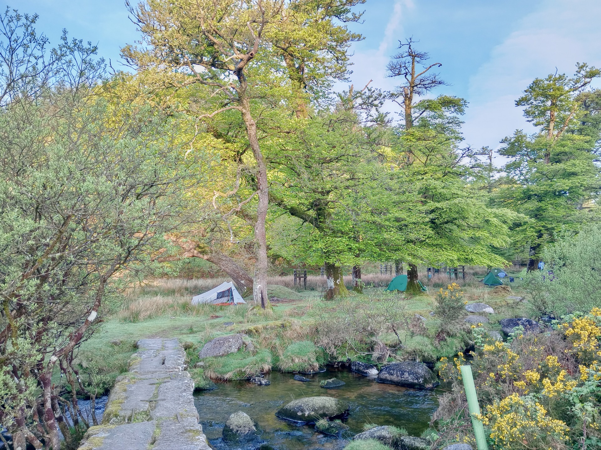 Beardown Farm Ladies wild weekend